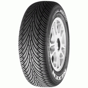 Літні шини Roadstone n2000 R15 205/55 91 V (арт. 190-36-241537)
